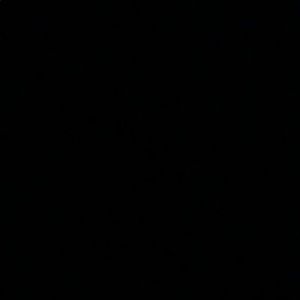 Meet your Posher, Gretchen